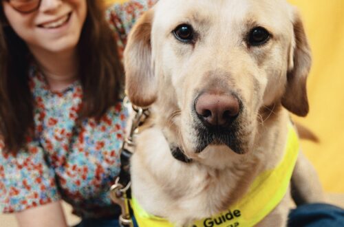 Chloe and Dezzie the guide dog sat together. Dezzie is in focus and Chloe is behind slightly blurred.